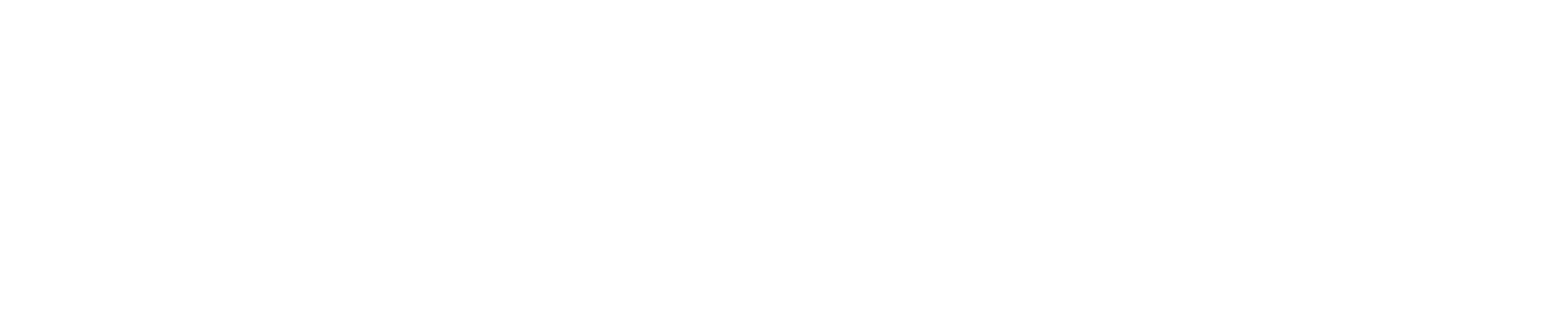 Genesys Elite Partner